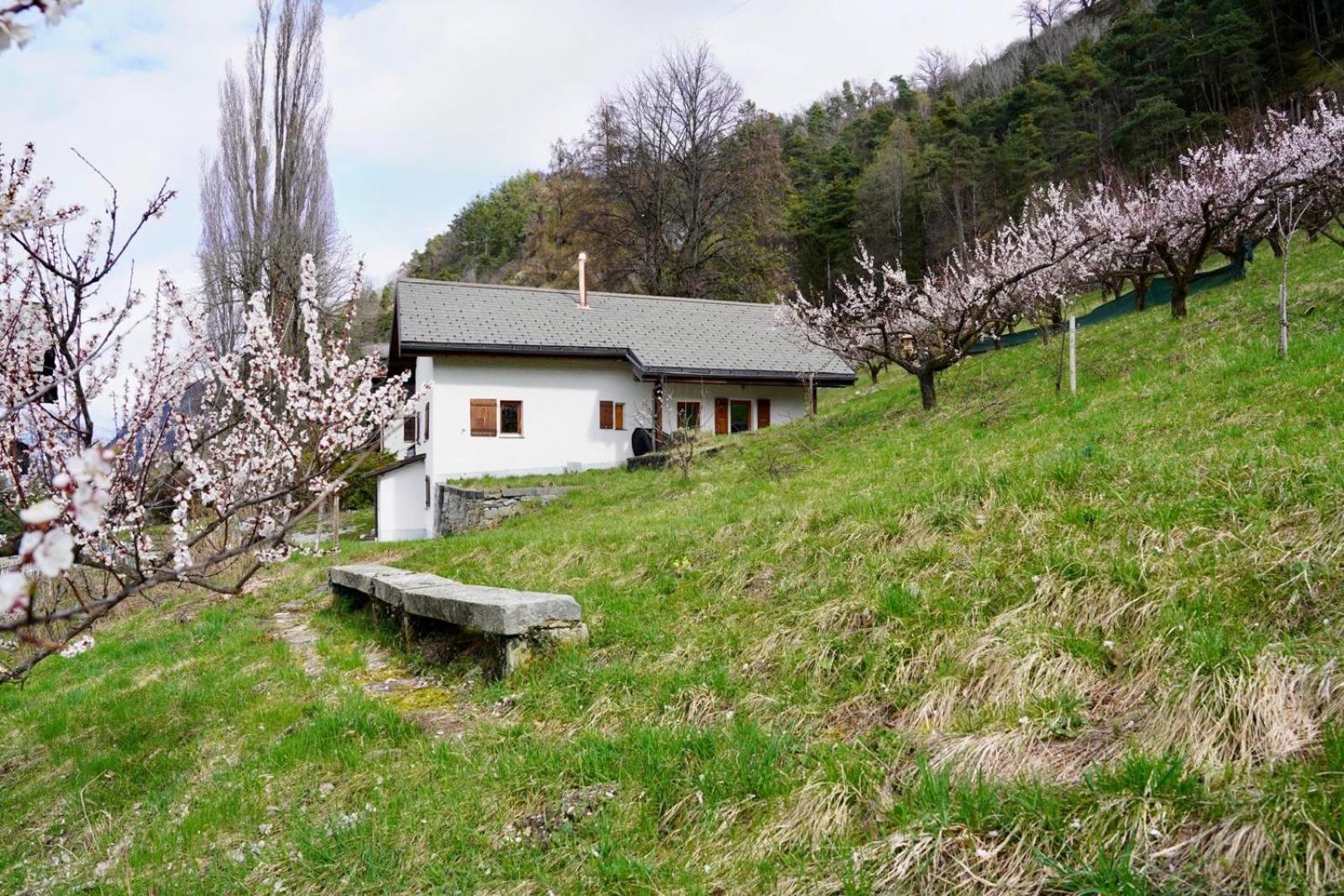 Maisonnette De Campagne Σιόν Εξωτερικό φωτογραφία
